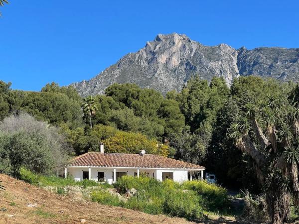 Terreno en avenida Buchinger