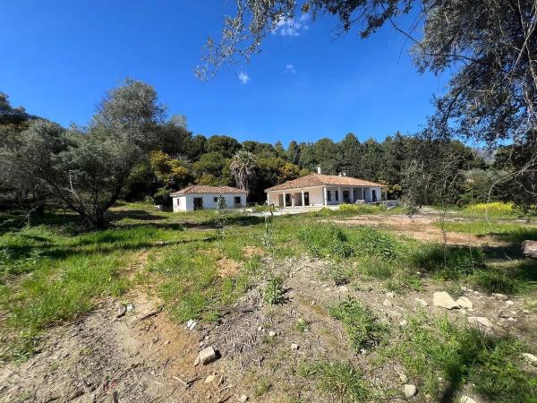 Terreno en avenida Buchinger