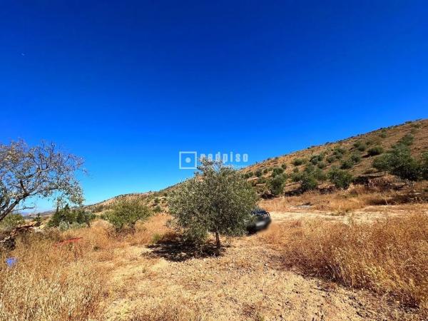 Terreno en calle Porton
