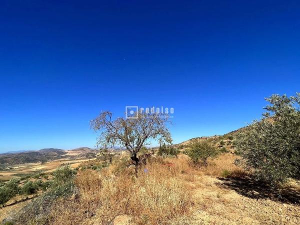 Terreno en calle Porton