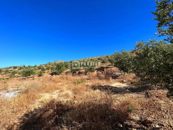 Terreno en calle Porton