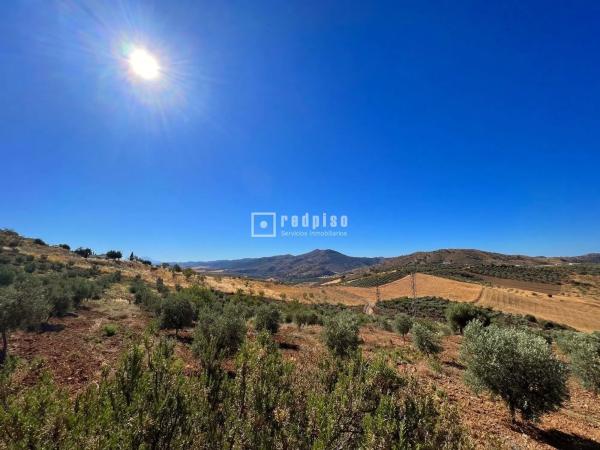 Terreno en calle Porton