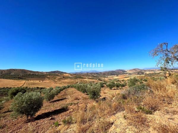 Terreno en calle Porton