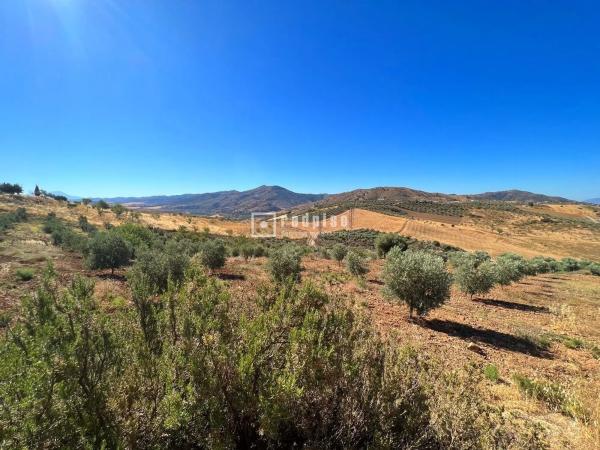 Terreno en calle Porton
