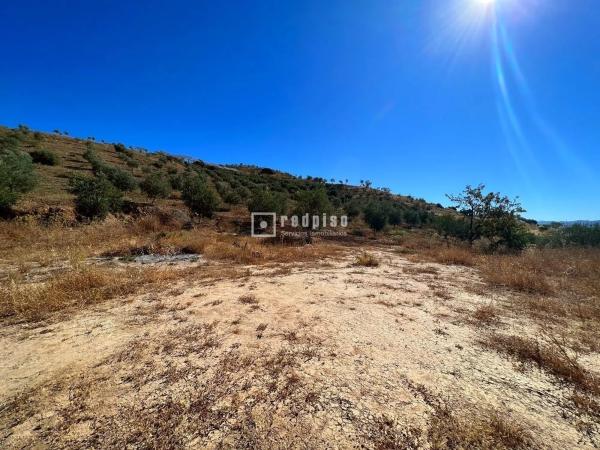 Terreno en calle Porton