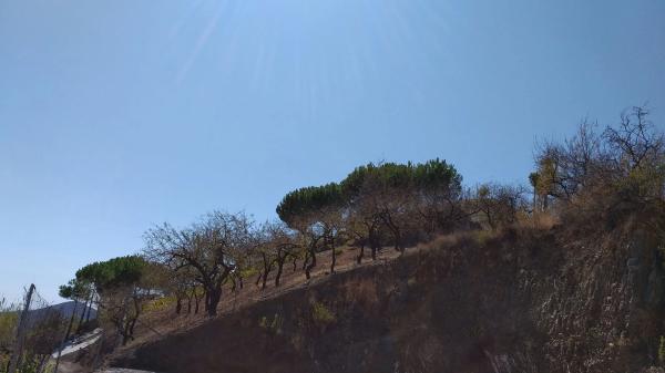 Terreno en Coronite s/n