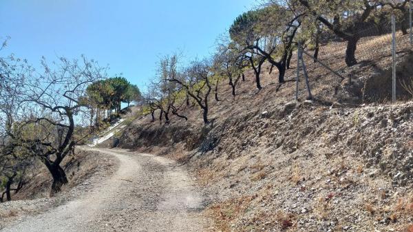 Terreno en Coronite s/n