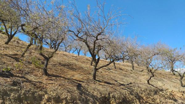 Terreno en Coronite s/n