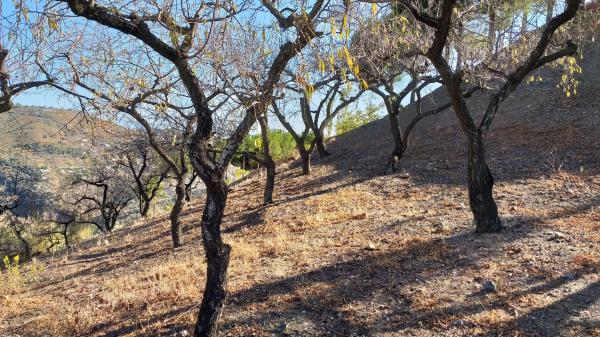 Terreno en Coronite s/n