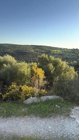 Terreno en calle Arrabal, 35 -53