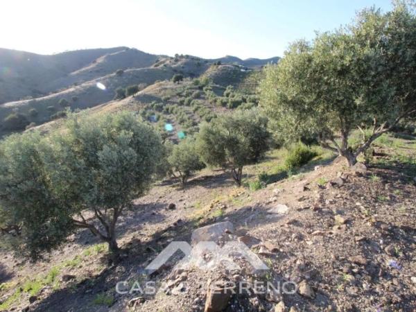 Terreno en Benajarafe