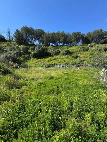 Terreno en Cotomar - Urbanizaciones