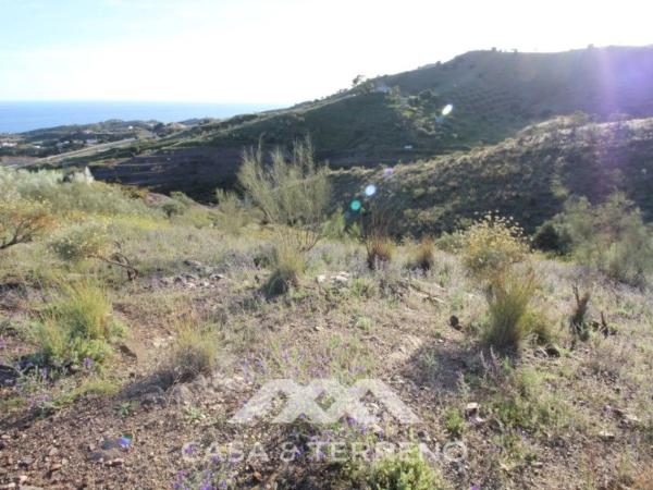 Terreno en Benajarafe