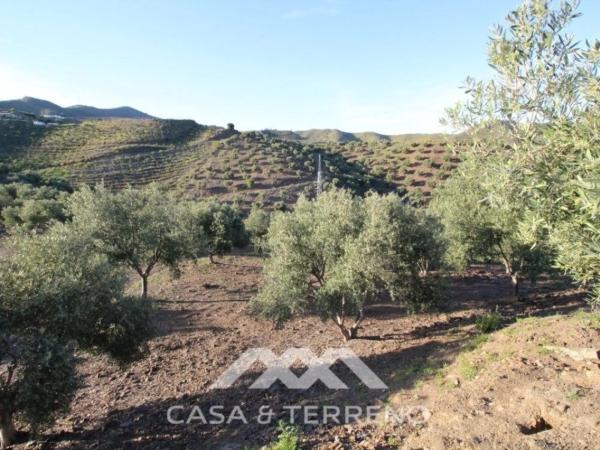 Terreno en Benajarafe