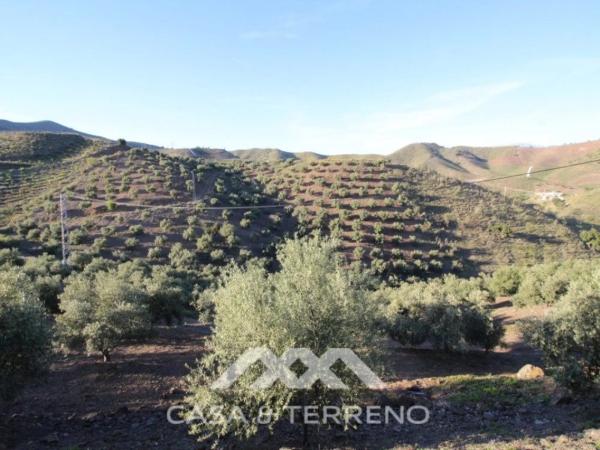 Terreno en Benajarafe