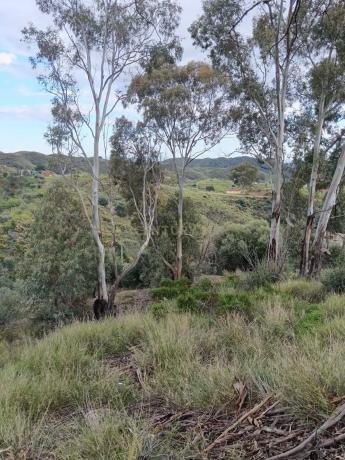 Terreno en Urbanización Pueblo Valtocado