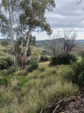 Terreno en Urbanización Pueblo Valtocado