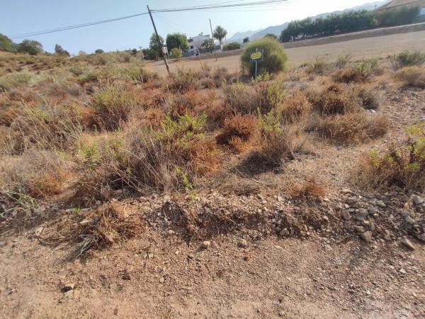 Terreno en avenida Juan Carlos i Rey de España