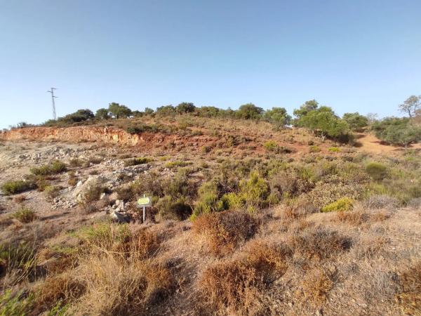Terreno en avenida Juan Carlos i Rey de España
