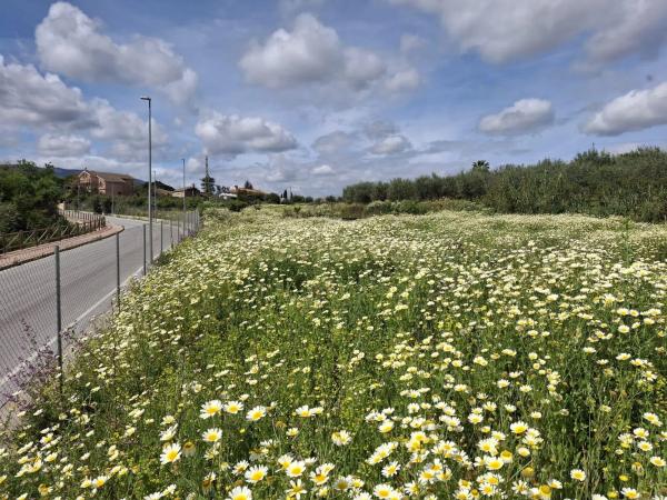 Terreno en camino de la Acequia