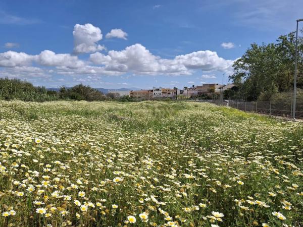 Terreno en camino de la Acequia
