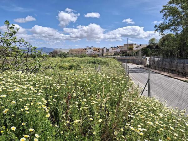 Terreno en camino de la Acequia