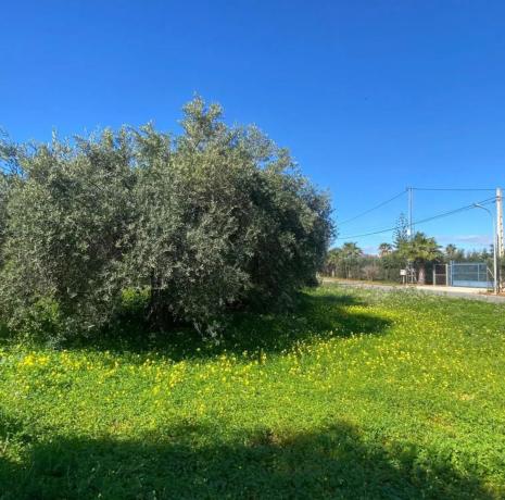 Terreno en plaza Zona Ue-al-01, 61