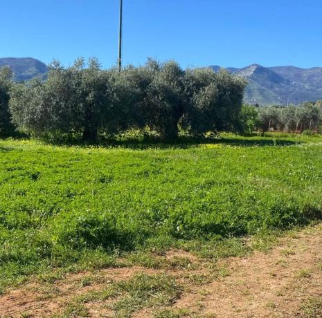 Terreno en plaza Zona Ue-al-01, 61