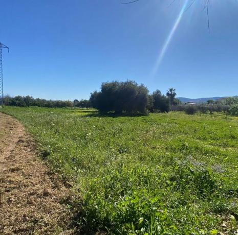 Terreno en plaza Zona Ue-al-01, 61