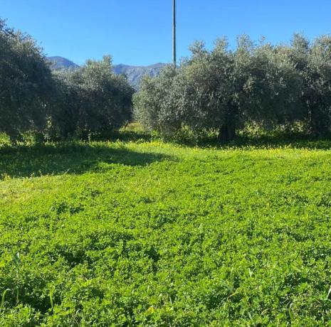 Terreno en plaza Zona Ue-al-01, 61