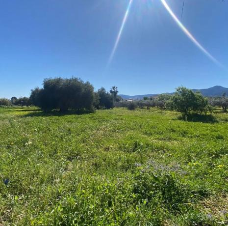 Terreno en plaza Zona Ue-al-01, 61