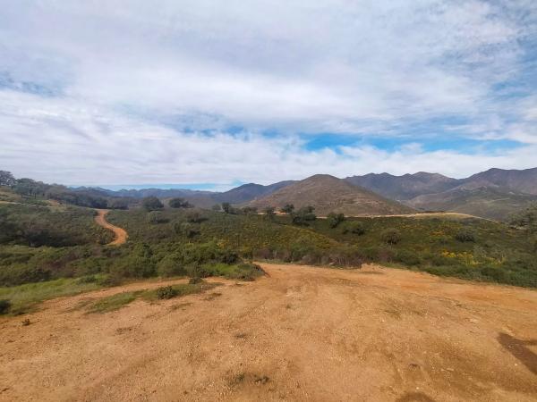 Terreno en la mairena s/n