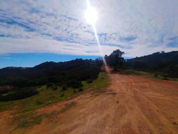 Terreno en la mairena s/n