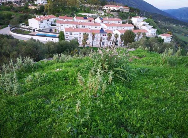 Terreno en Cortes de la Frontera