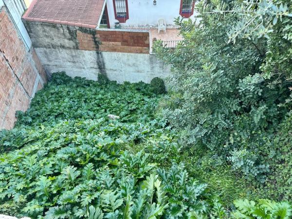 Terreno en Ojén pueblo