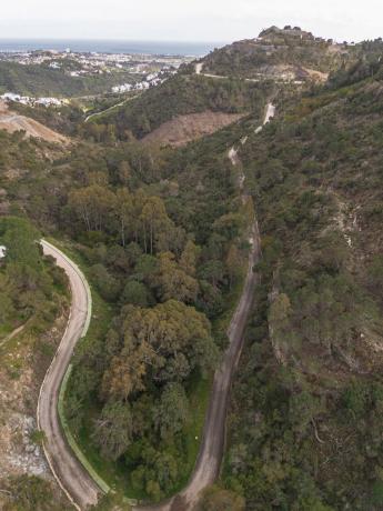 Terreno en calle Lomilla