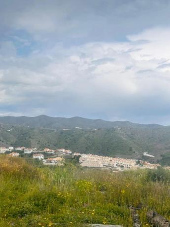 Terreno en calle Mirlo