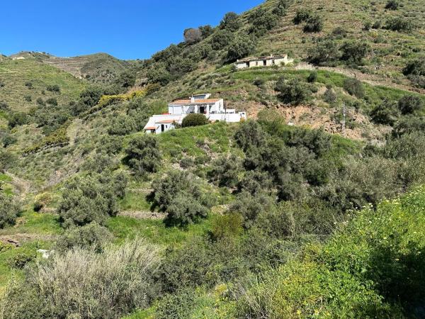 Terreno en el manzano