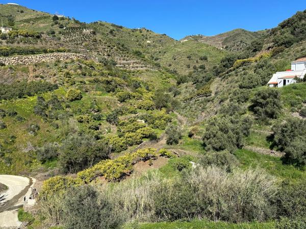 Terreno en el manzano