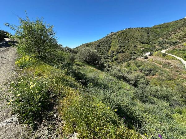 Terreno en el manzano