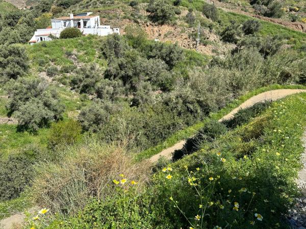 Terreno en el manzano