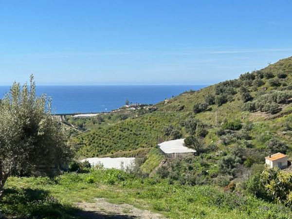 Terreno en el manzano