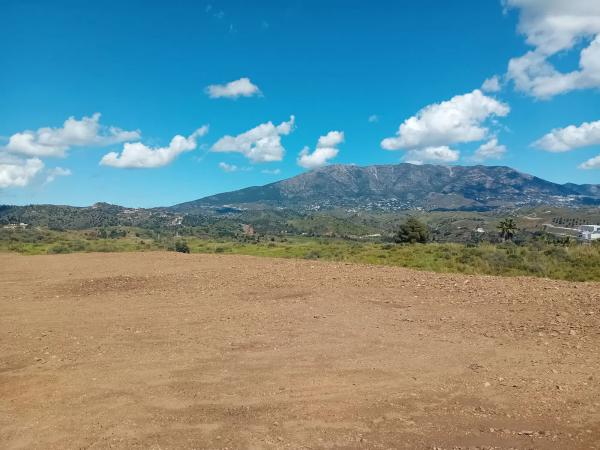 Terreno en carretera de la Cala a Entrerrios s/n