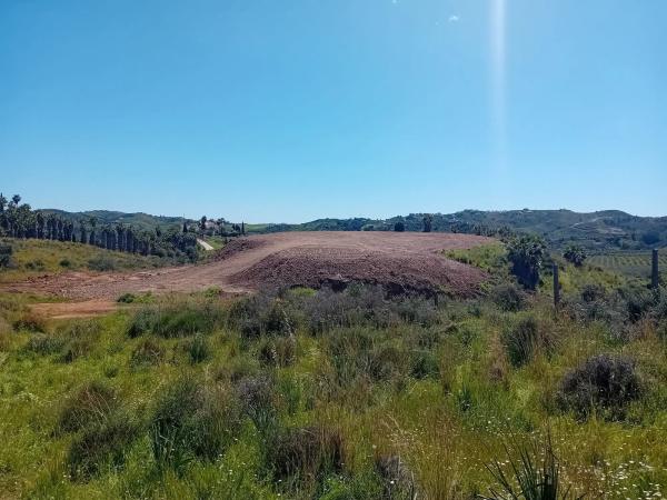 Terreno en carretera de la Cala a Entrerrios s/n