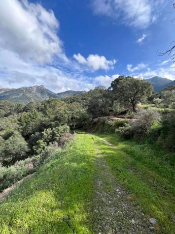 Terreno en Del Poligono, km 12