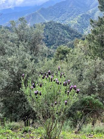 Terreno en Del Poligono, km 12