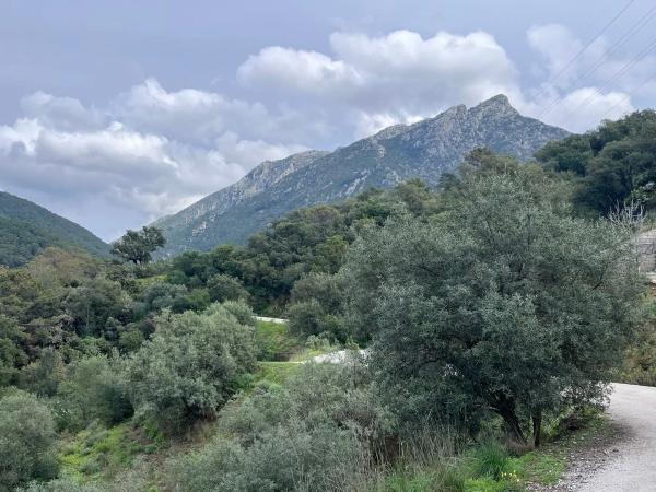 Terreno en Del Poligono, km 12