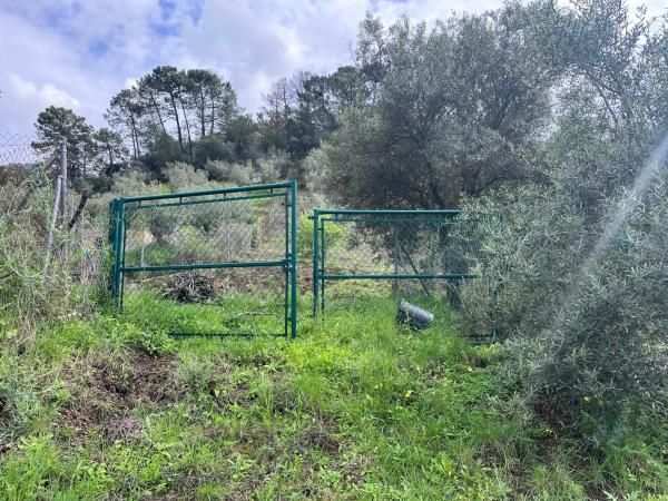 Terreno en Del Poligono, km 12