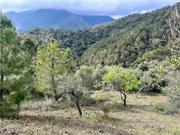 Terreno en Del Poligono, km 12