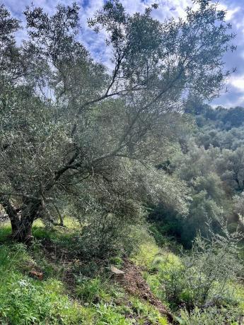 Terreno en Del Poligono, km 12